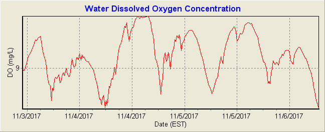 Dissolved Oxygen Concentration